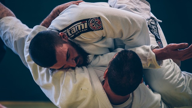 brazilské jiu-jitsu