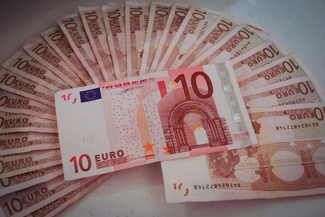 euro
