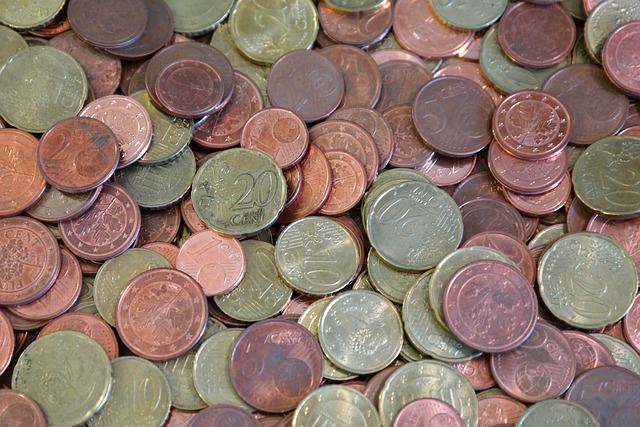 cizí mince
